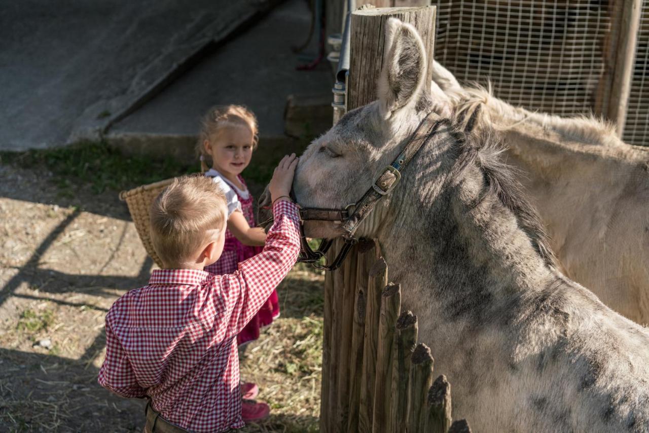 Familienhotel Replerhof Mit Kinderbetreuung Prägraten 외부 사진